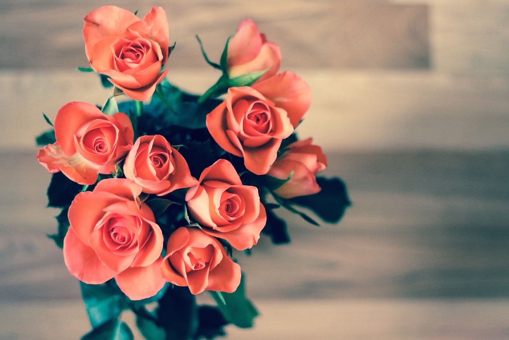 Top 8 Valentine's Day Campaigns