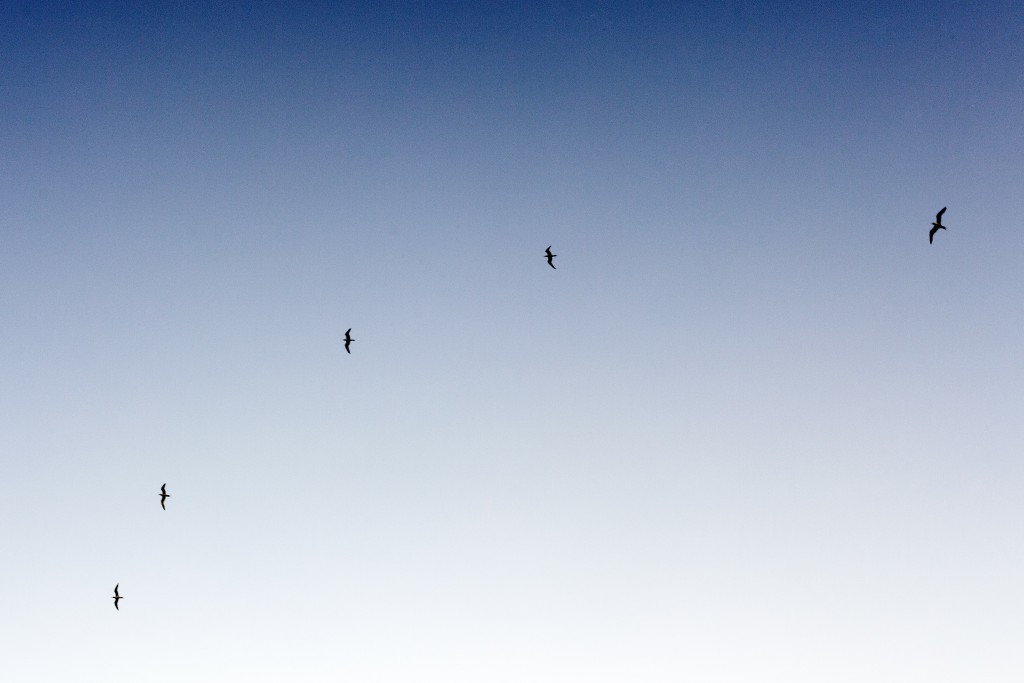 Building a Micro-Agency